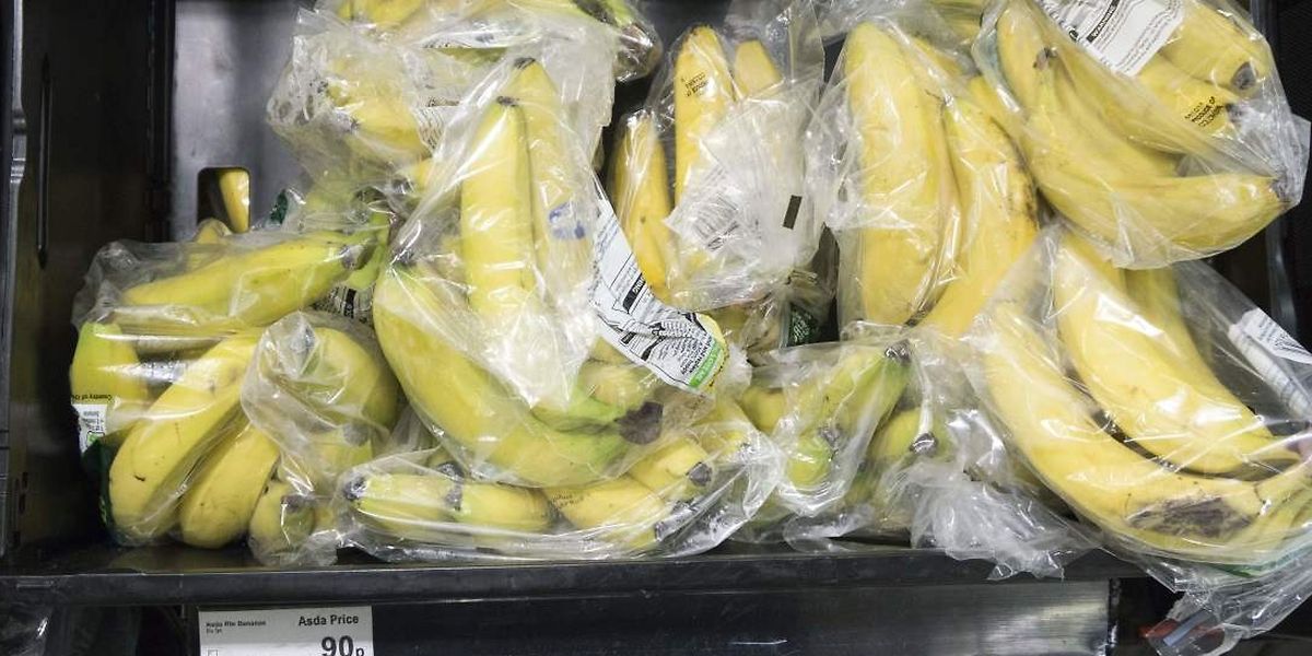Viele Plastikverpackungen landen in der Umwelt, anstatt recycelt zu werden.