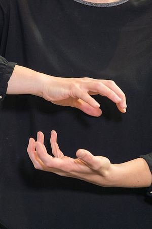 IPO , Gebärdendolmetscherinnen in der Coronakrise , Sras-CoV-2 , Covid-19 , Lynn Menster , Gebärdensprache , " Krise "  Foto:Guy Jallay/Luxemburger Wort