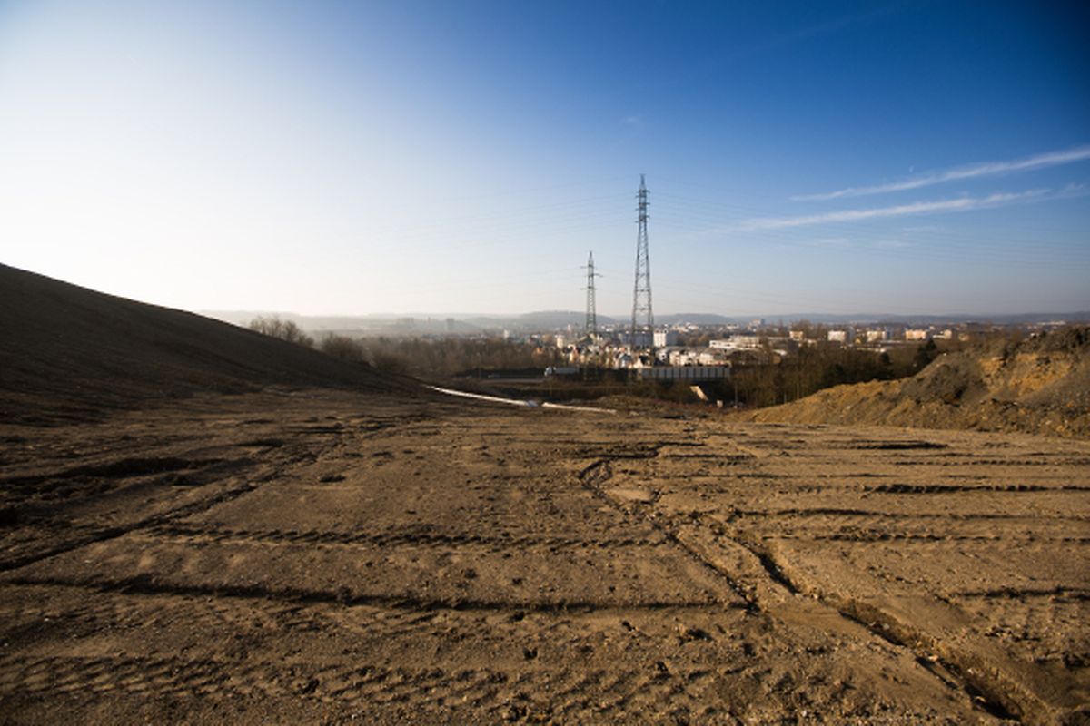 Auch auf dieser Ebene findet man Spuren der Säugetiere.