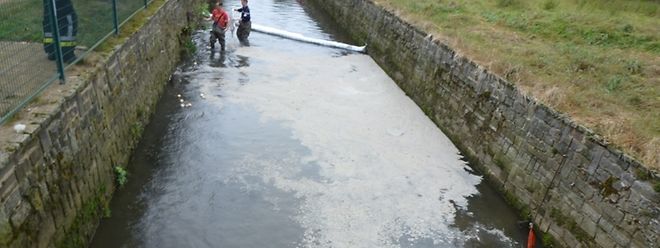 Mit Ölsperrung versuchten die Feuerwehrleute der Verschmutzung Herr zu werden.
