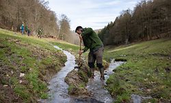 Lokales,"Fléizen" ,eine traditionelle Art der Wiesenbewässerung.Esch/Sauer.Foto: Gerry Huberty/Luxemburger Wort
