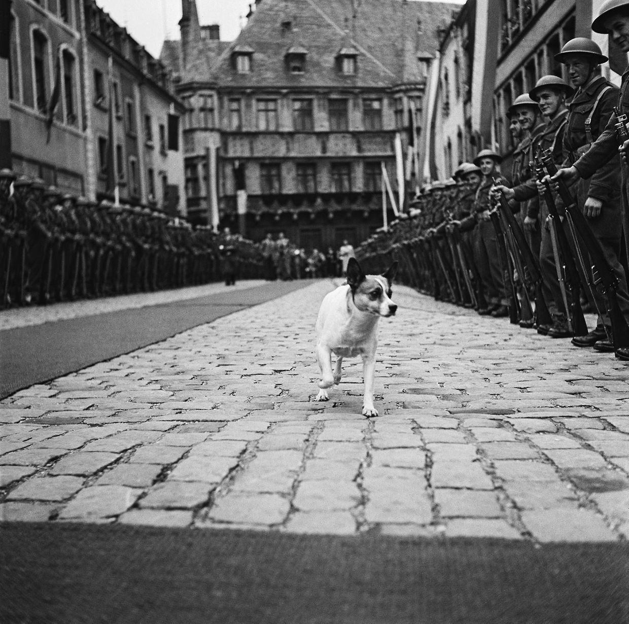 Rue de la Reine, 1950