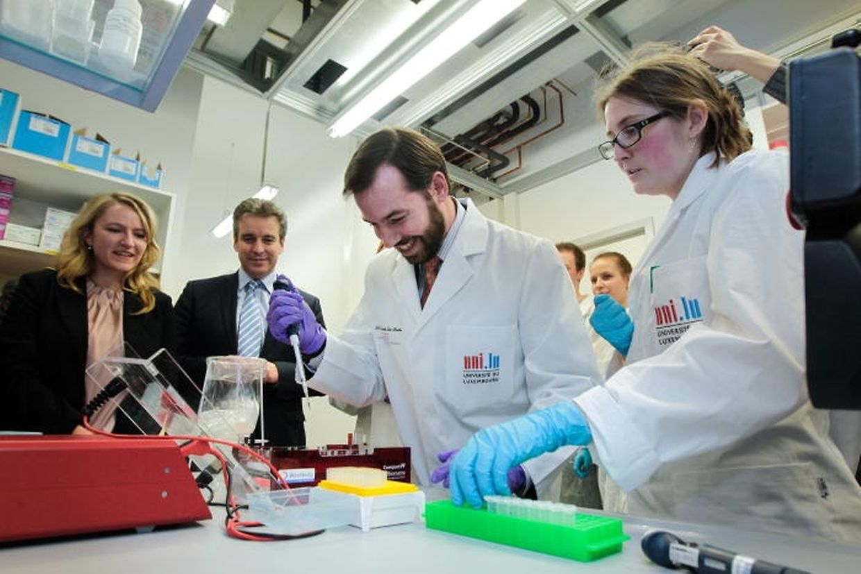 selbst einige Experimente durchzuführen.