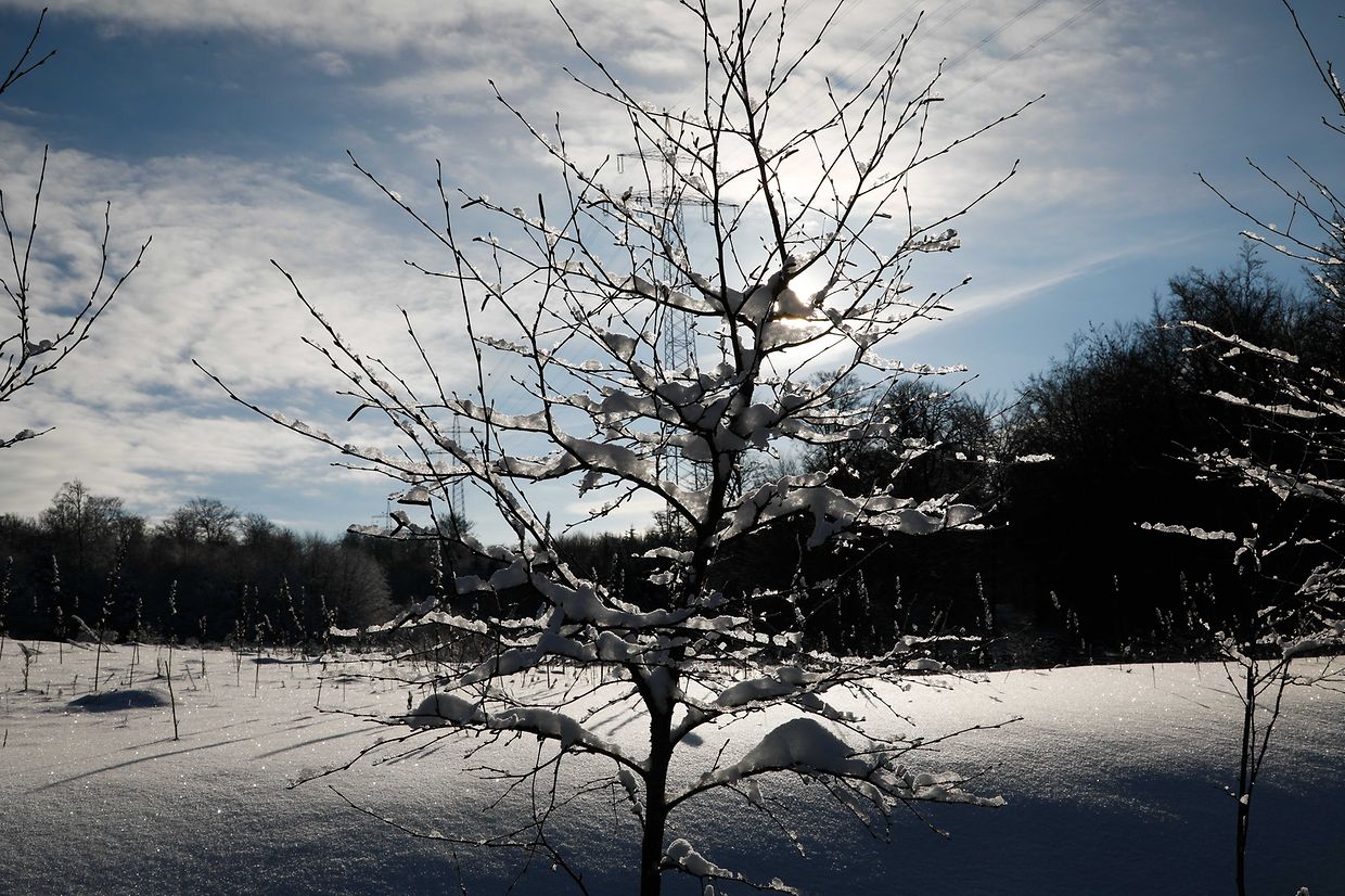 Illustration, Schnee, Winter, Winterlandschaft, Foto: Anouk Antony/Luxemburger Wort