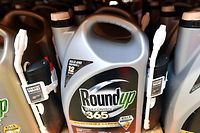 (FILES) In this file photo taken on July 09, 2018  Roundup products are seen for sale at a store in San Rafael, California. - Monsanto was ordered on March 27, 2019 to pay some $81 million to an American retiree who blames his cancer on the agribusiness giant's weedkiller Roundup. A San Francisco jury found the firm had been "negligent by not using reasonable care" to warn of the risks of its product, ordering it to pay Edwin Hardeman $75 million in punitive damages, $5.6 million in compensation and $200,000 for medical expenses. The same jury previously found that a quarter century exposure to Roundup, whose principal ingredient is controversial chemical glyphosate, was a "substantial factor" in giving the 70-year-old Hardeman non-Hodgkin's lymphoma. (Photo by JOSH EDELSON / AFP)