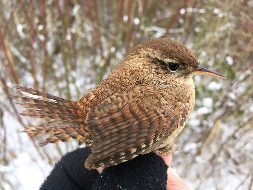 Bei jedem Wetter draußen. 