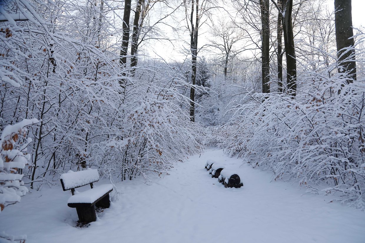 Illustration, Schnee, Winter, Winterlandschaft, Foto: Anouk Antony/Luxemburger Wort