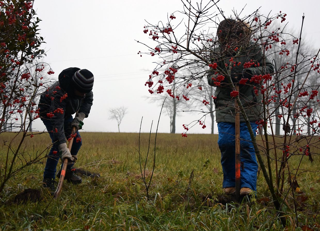 An Aktioun um Dag vum Bam zu Heischent - Photo: Y. Krippel