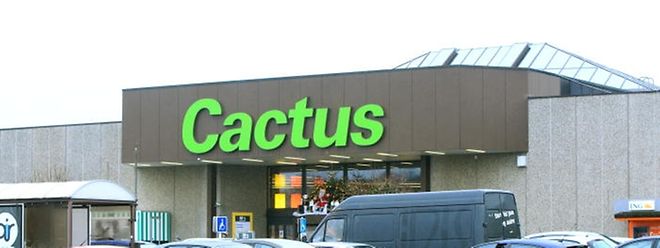  Bei Cactus hat es schon bessere Jahre gegeben aber auch schon schlechtere. 