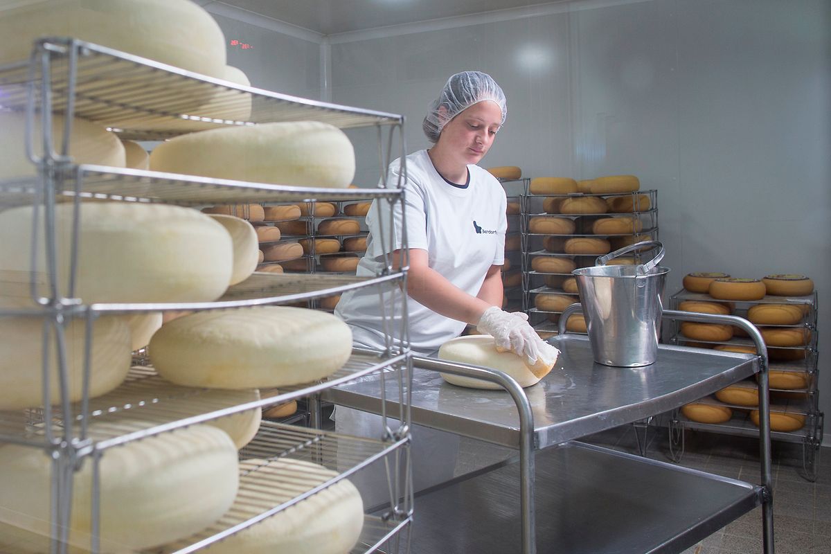 As especialidades de queijo Berdorf ainda são feitas à mão.