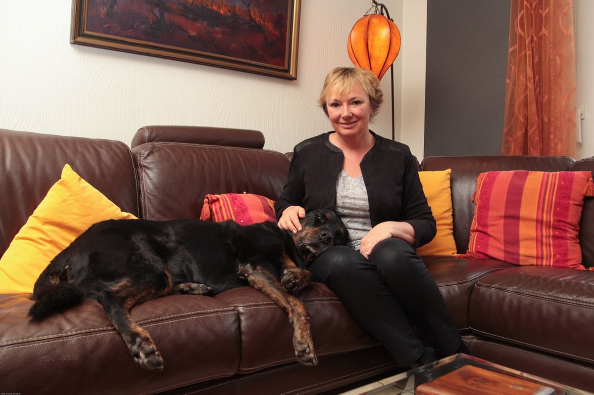 La commune de Steinfort connaît pour ces élections une hausse de son électorat étranger puisque 109 nouveaux électeurs se sont inscrits soit une augmentation de 25% par rapport aux dernières communales en 2011. 