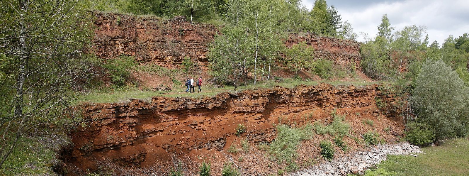 Die Naturreservate in den früheren Tagebaugebieten könnten die Kernzonen eines zukünftigen Biosphärenreservates bilden.