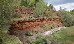Die Naturreservate in den früheren Tagebaugebieten könnten die Kernzonen eines zukünftigen Biosphärenreservates bilden.