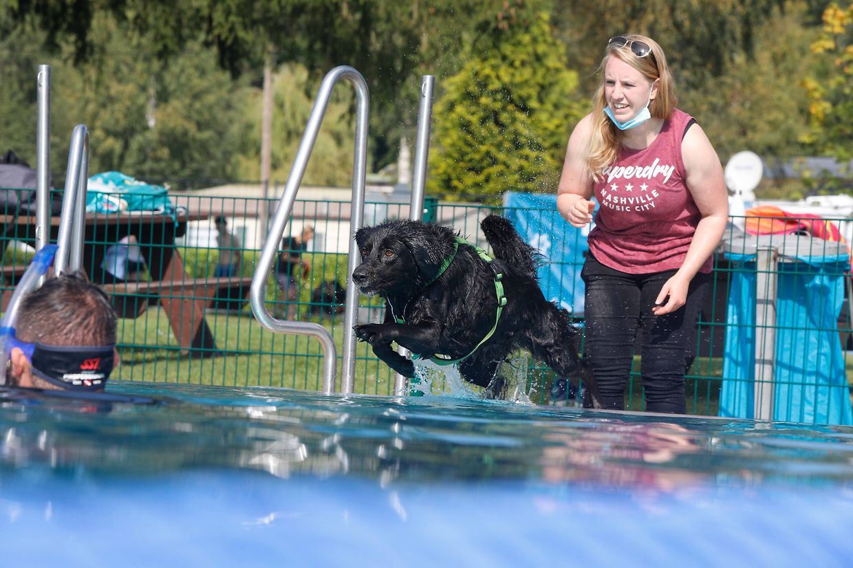 Lokales, Aqua Park, Schwimmbad, Hundeschwimmen, Badespass Foto: Luxemburger Wort/Anouk Antony