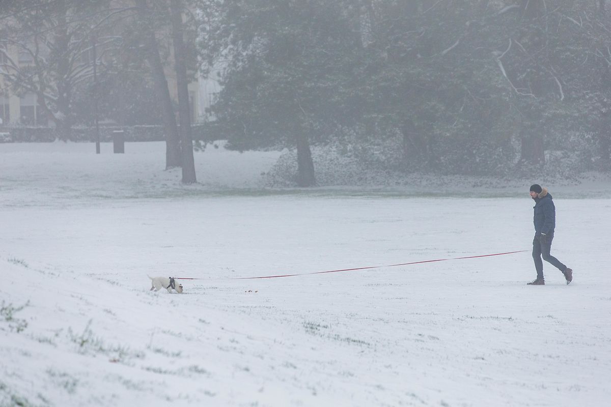 Wintereinbruch in der Hauptstadt. 