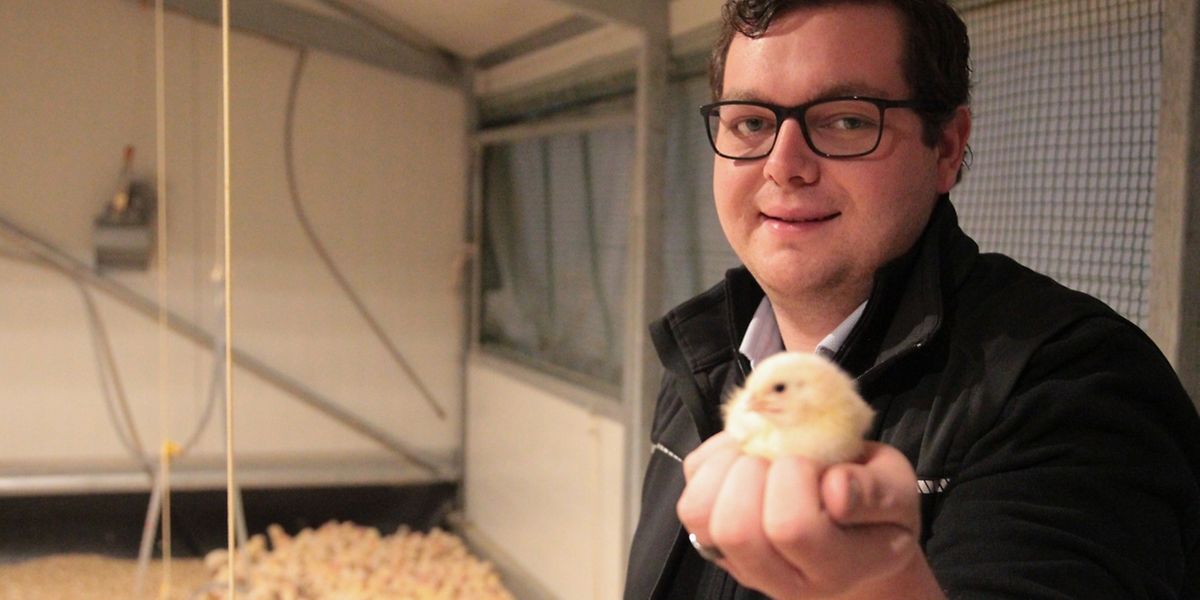 Tom Jungblut ist einer der Mitbegründer von "Lëtzebuerger Poulet". 