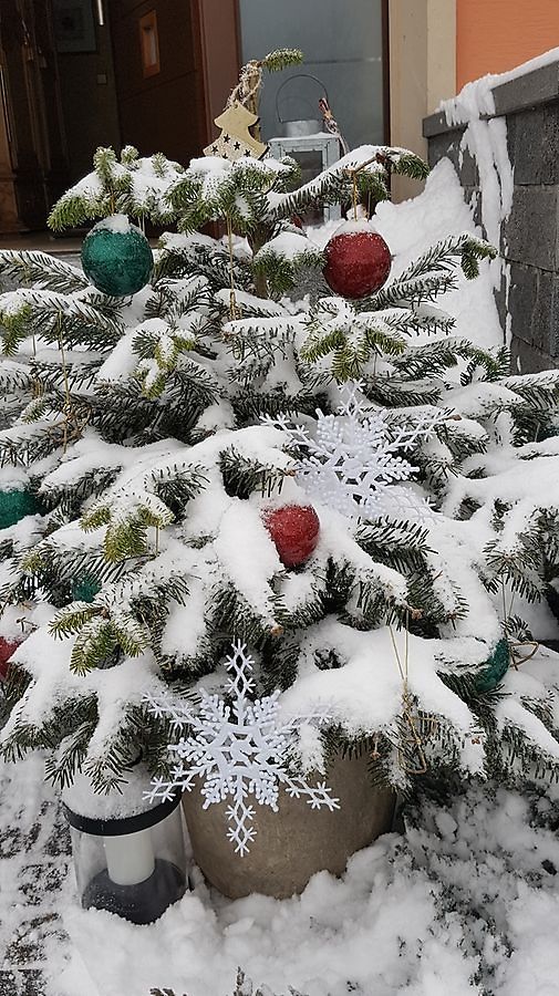 Den Weihnachtsbaum hat es auch erwischt. 