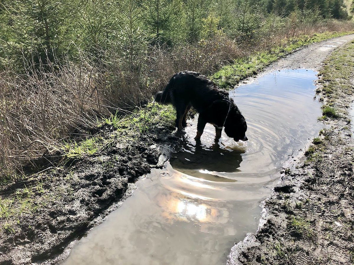 mywort - Wasserspiegeleien: Bin ich das?