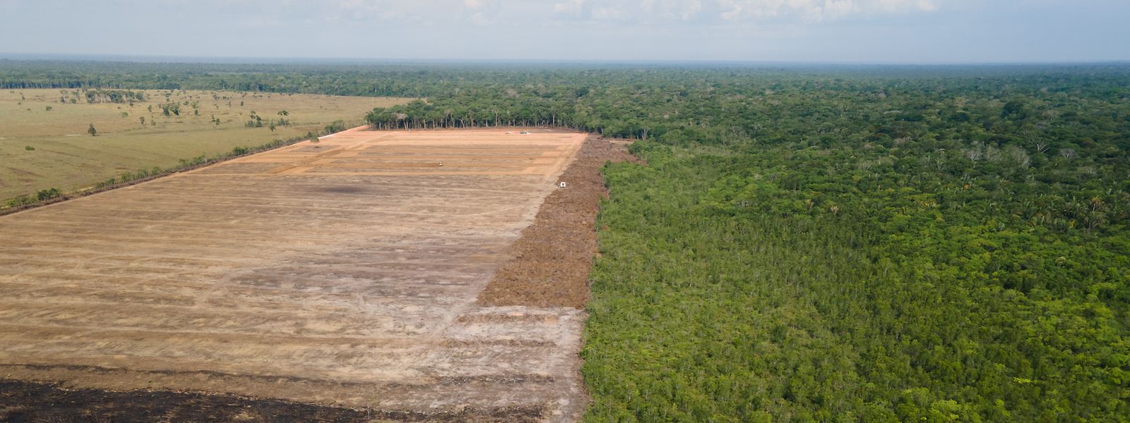 Das Luftbild zeigt eine verbrannte und abgeholzte Fläche in einem Amazonas-Gebiet.