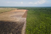 ARCHIV - 07.09.2021, Brasilien, Porto Velho: Das Luftbild zeigt eine verbrannte und abgeholzte Fläche in einem Amazonas-Gebiet. Entgegen den Versprechen von Brasiliens international unter Druck geratener Regierung zur UN-Klimakonferenz COP26 bleibt die Abholzung im brasilianischen Amazonasgebiet auf Rekordniveau. (Zu dpa "Brasilien: Abholzung des Amazonaswaldes hält auf Rekordniveau an") Foto: Fernando Souza/ZUMA Press Wire/dpa +++ dpa-Bildfunk +++