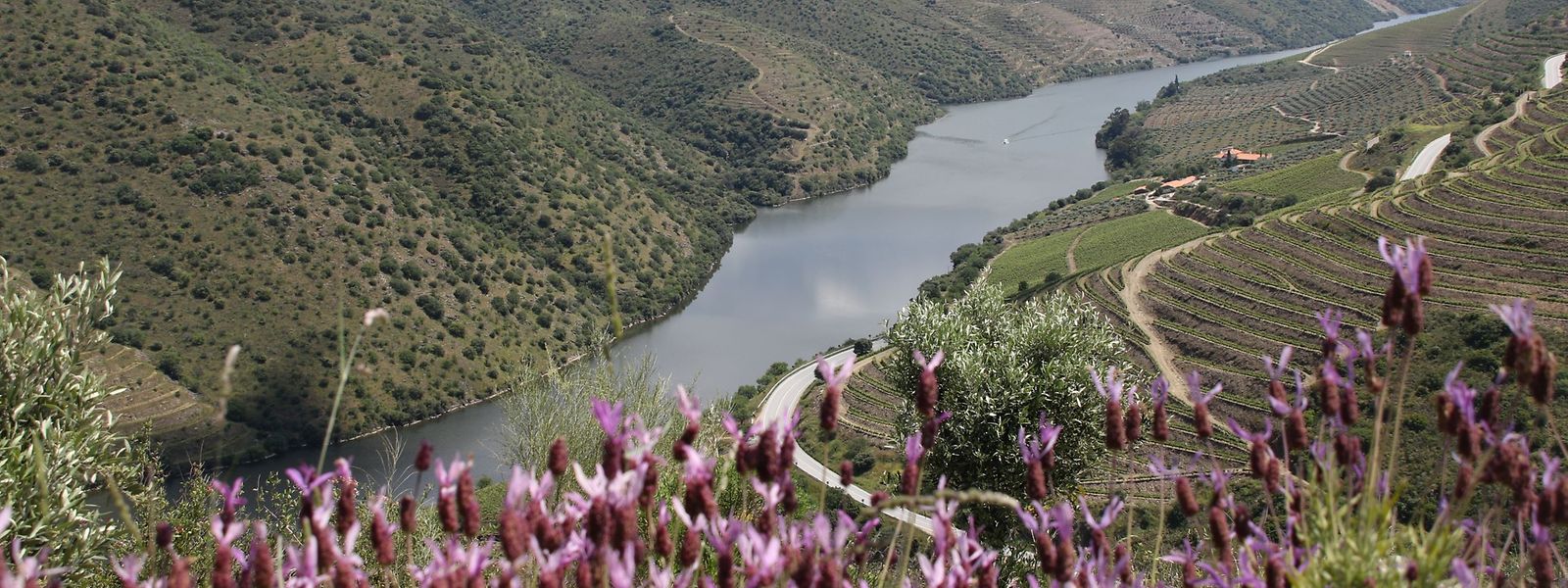 Ein Ausblick, der zum Träumen und Entdecken einlädt: die Mündung des Côa ins Douro-Tal.