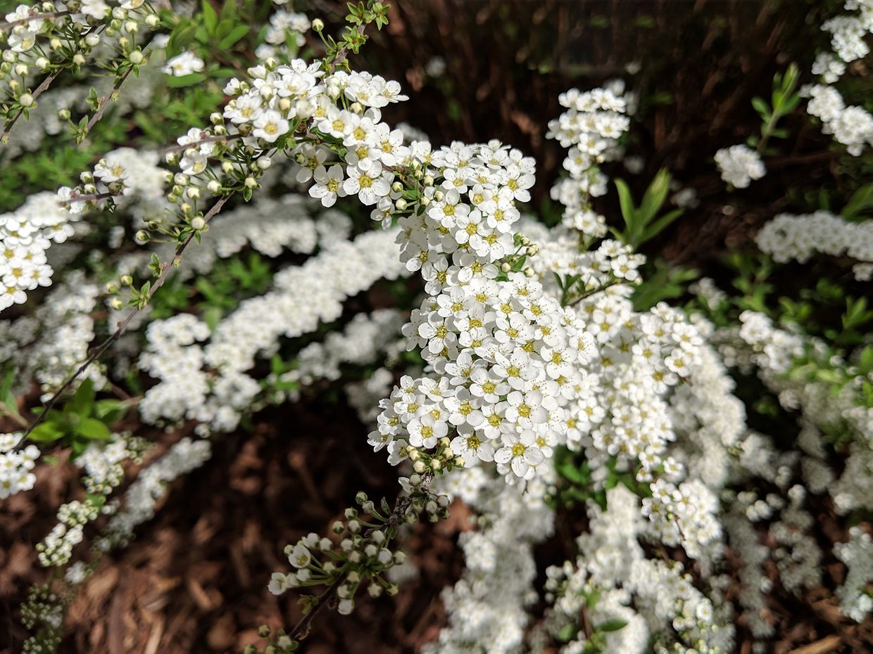 Maker:S,Date:2017-9-26,Ver:6,Lens:Kan03,Act:Lar02,E-Y