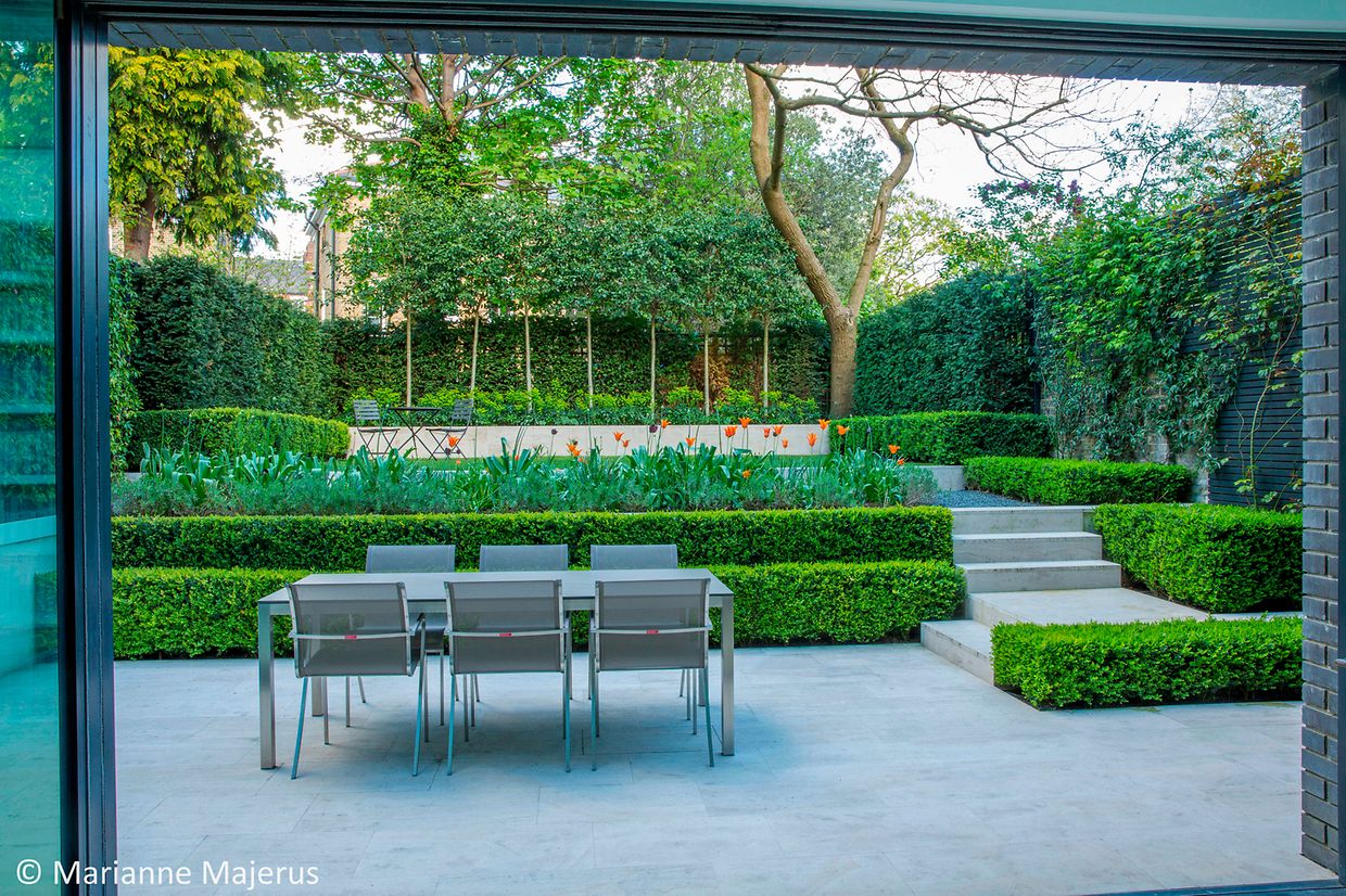 View from inside house through sliding glass doors to contemporary courtyard garden outside, stepped clipped box hedge, tulips, dining table and chairs on limestone patio, pleached Ilex 'Nellie R. Stevens' in front of yew hedge