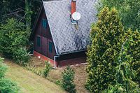 Alpine style wooden house in green forest from aerial view