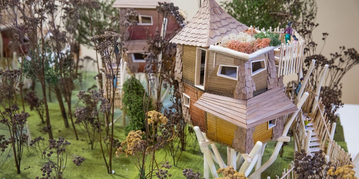 So könnten die Baumhäuser auf dem Galgenberg aussehen. 