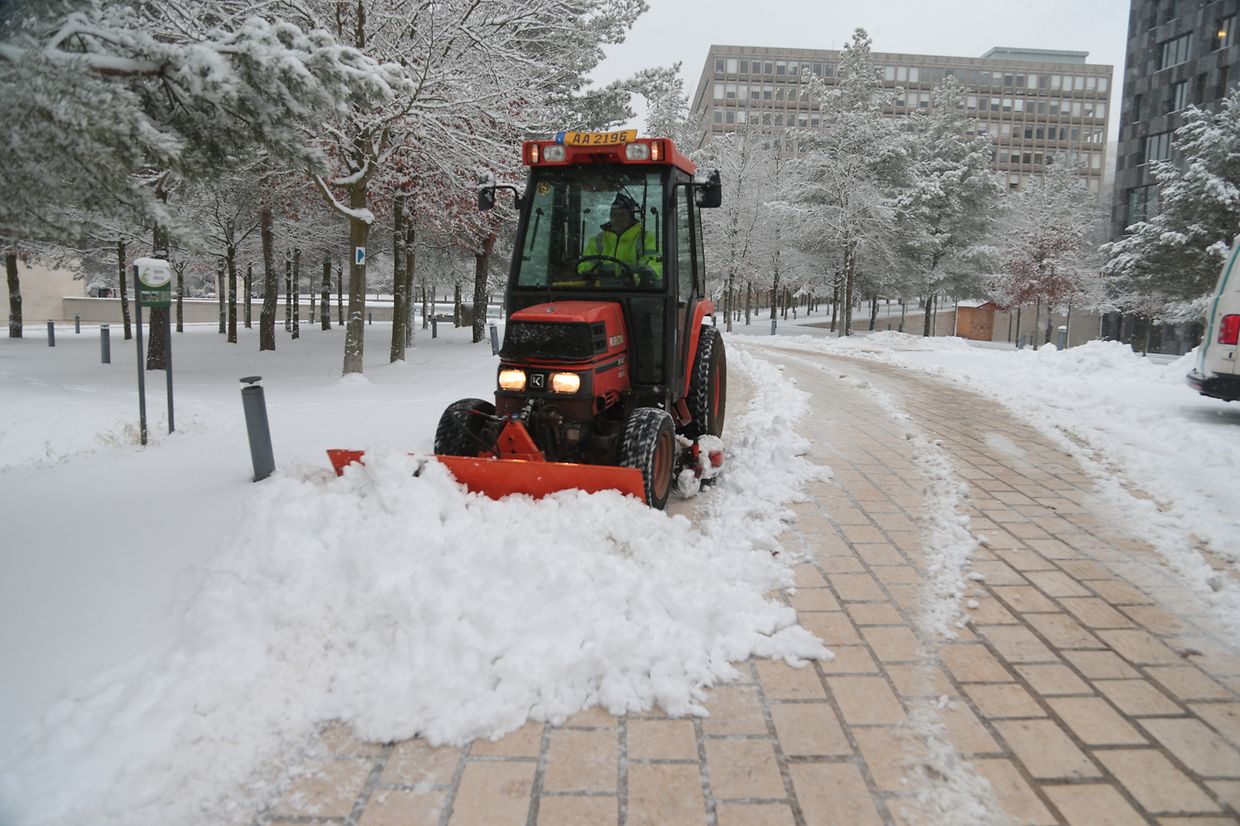 Lokales, Luxemburg, Winter, Schnee, Glätte, Glatteis, Kälte, Illustration, Schneefotos  photo Anouk Antony