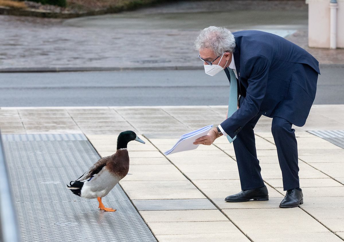 Die Tripartite am Montag war die letzte von Finanzminister Pierre Gramegna (DP). Da darf die Ente gerne einen Blick in seine Notizen werfen.