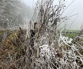 Givre