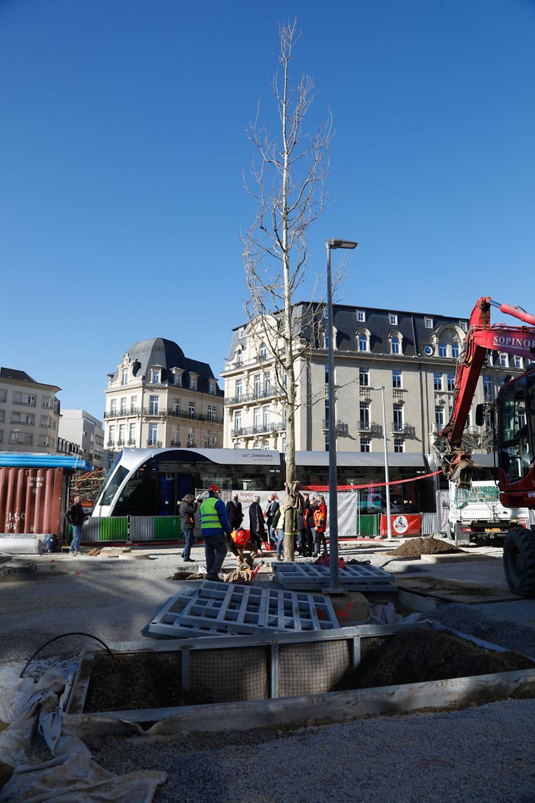 Seit Mitte Dezember befindet sich auf der Place de Paris eine Tram-Haltestelle.