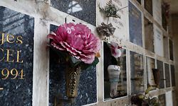 Flowers are laid on funeral urns in Pere Lachaise cemetery, in Paris on June 7, 2020, as the cemeteries reopened from June 2, during the second phase of the easing of lockdown measures taken to curb the spread of the COVID-19 pandemic, caused by the novel coronavirus. (Photo by FRANCOIS GUILLOT / AFP)