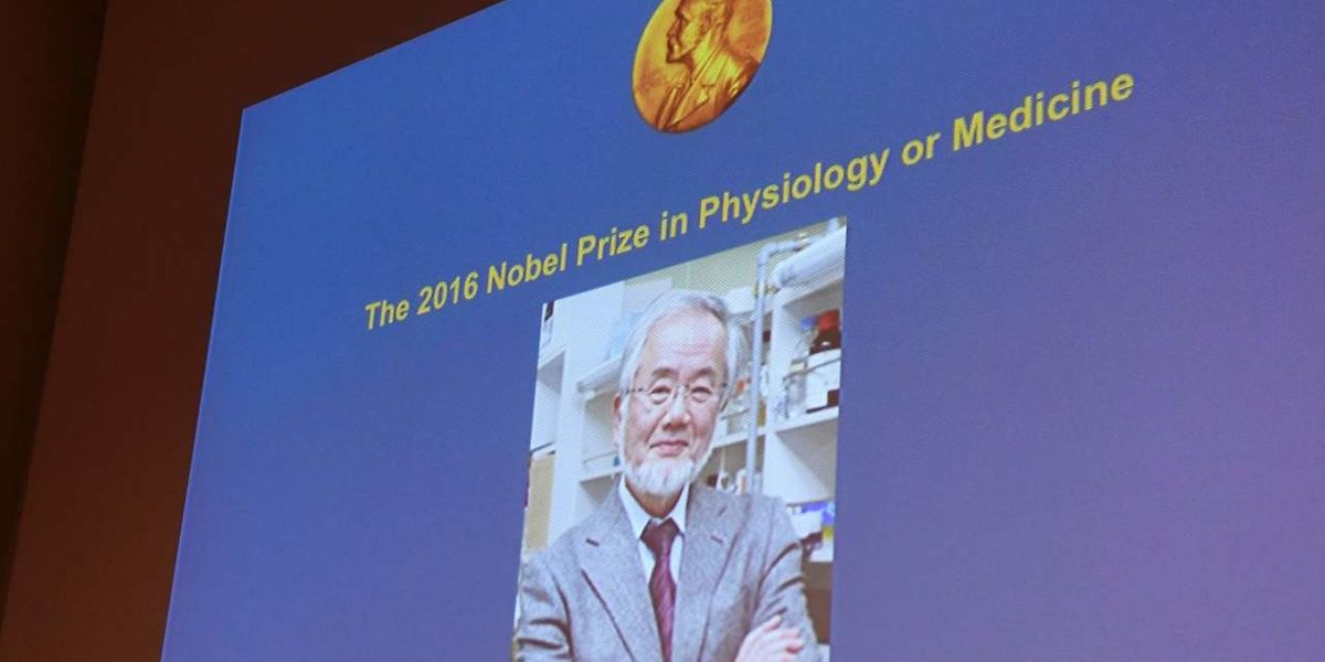 Der Mediziner Yoshinori Ohsumi wurde als erster Nobelpreisträger des Jahres bekannt gegeben.