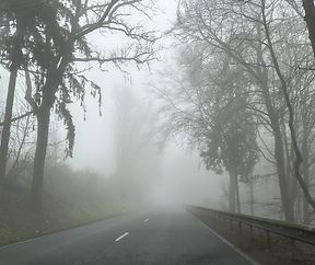 Brouillard à couper au couteau