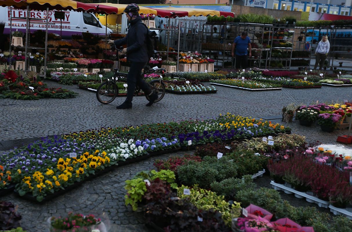 25.10.2017 Luxembourg, ville, Knuedler, place Guillaume, Wochenmarkt sehr früh am Morgen photo Anouk Antony