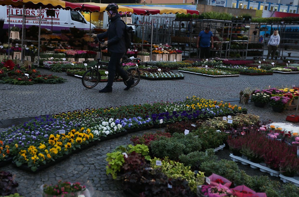 25.10.2017 Luxembourg, ville, Knuedler, place Guillaume, Wochenmarkt sehr früh am Morgen photo Anouk Antony
