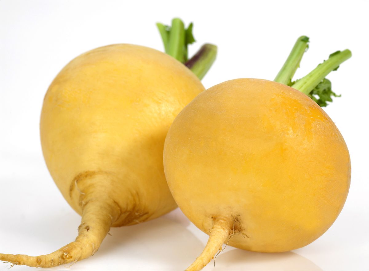 The aptly called Golden Ball is an early variety of the turnip