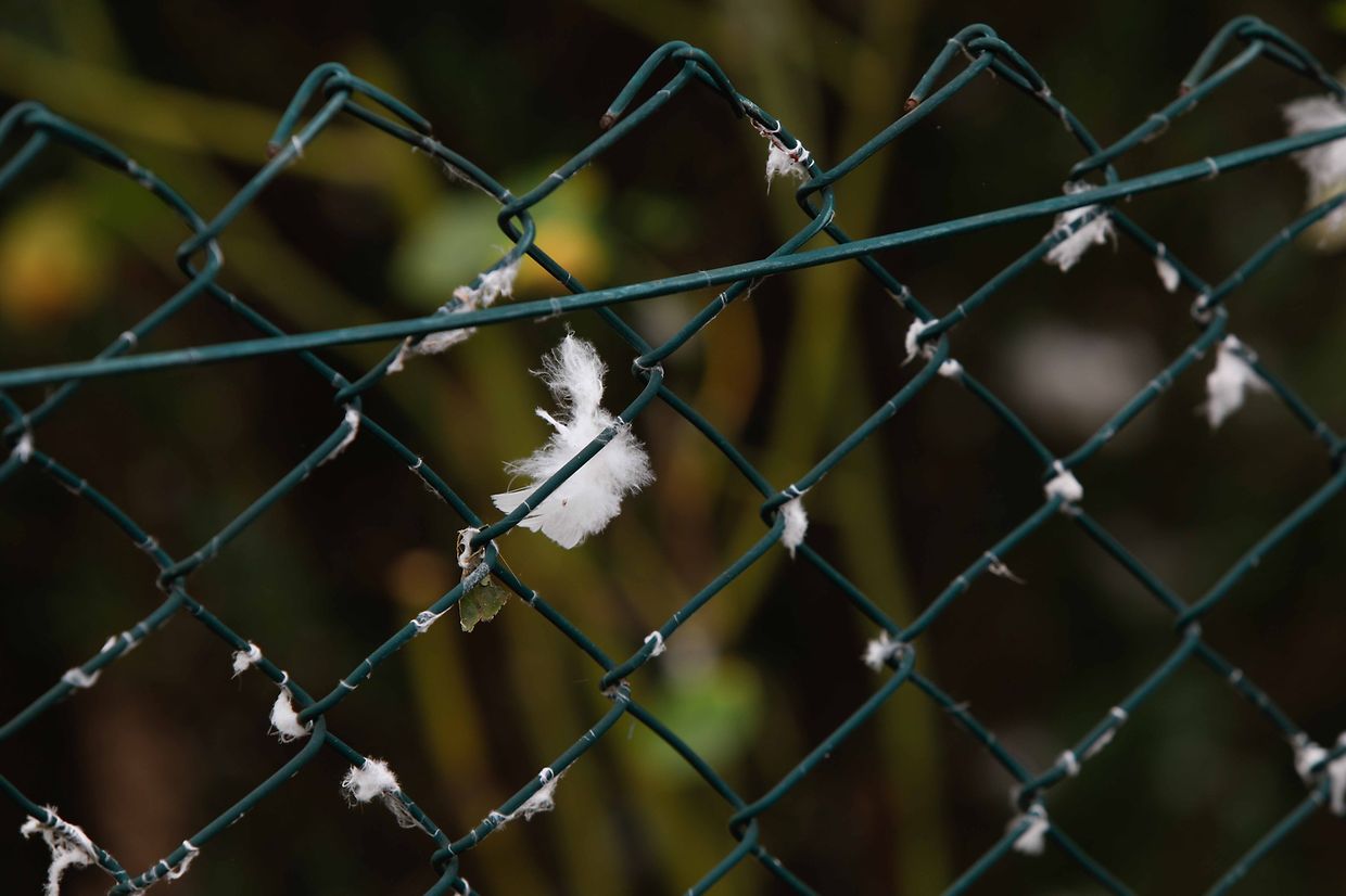 Lokales, online, Bascharage,  ,Tornado, Sturm, 2. Tag, Helfer, Aufräumarbeiten,   Foto: Anouk Antony/Luxemburger Wort