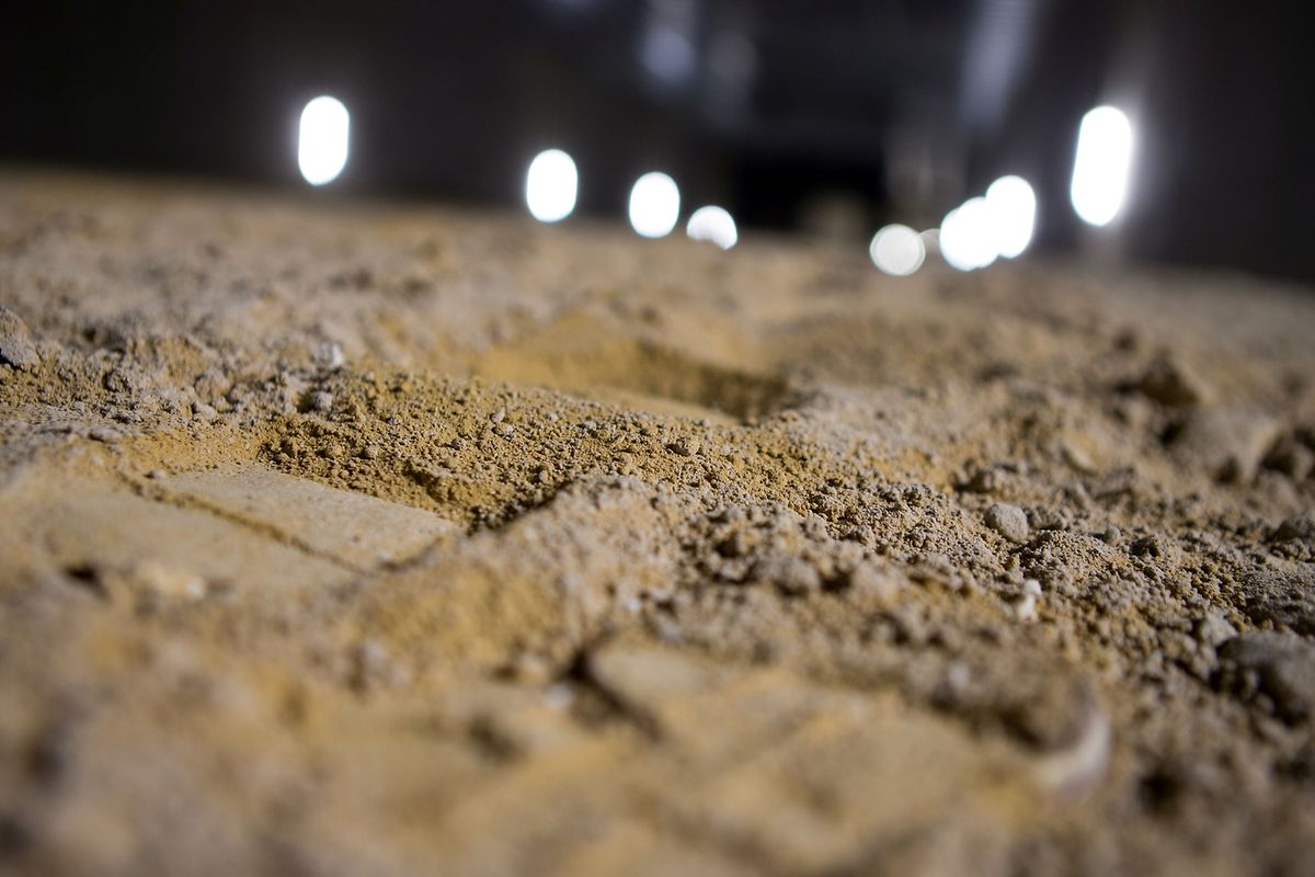 Ein Besuch im unterirdischen Bahnhof Findel.