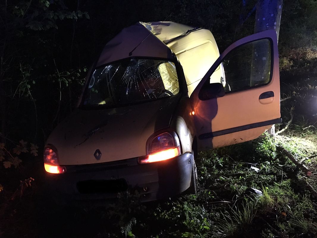 Der Fahrer wurde bei dem Unfall verletzt.
