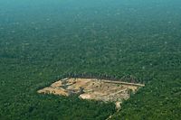 Esta imagem de arquivo mostra a desflorestação na região ocidental deste importante ecossistema 