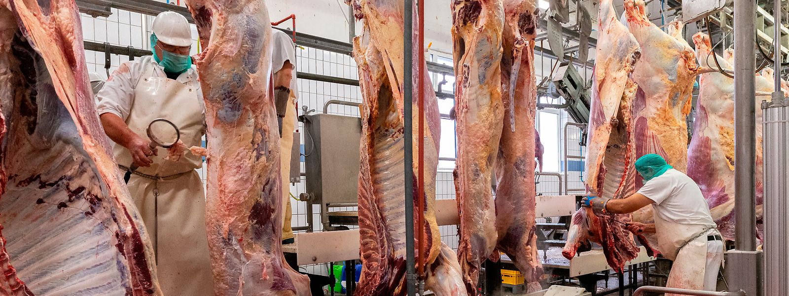 Im Schlachthaus Wecker gingen die Aktivitäten zuletzt zurück, sodass es laut Cobolux schwieriger wurde, mit den größeren Wettbewerbern mitzuhalten. 