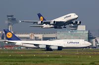 Aufgrund der steigenden Nachfrage bekommt der ausgemusterte Airbus A380 bei der Lufthansa womöglich noch mal eine Chance.