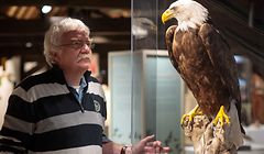 Bird exhibition “Geckeg Vullen“ in the naturmusée. Luxembourg, Luxembourg -  26. 11. 2019 foto: Matic Zorman / Luxemburger Wort
