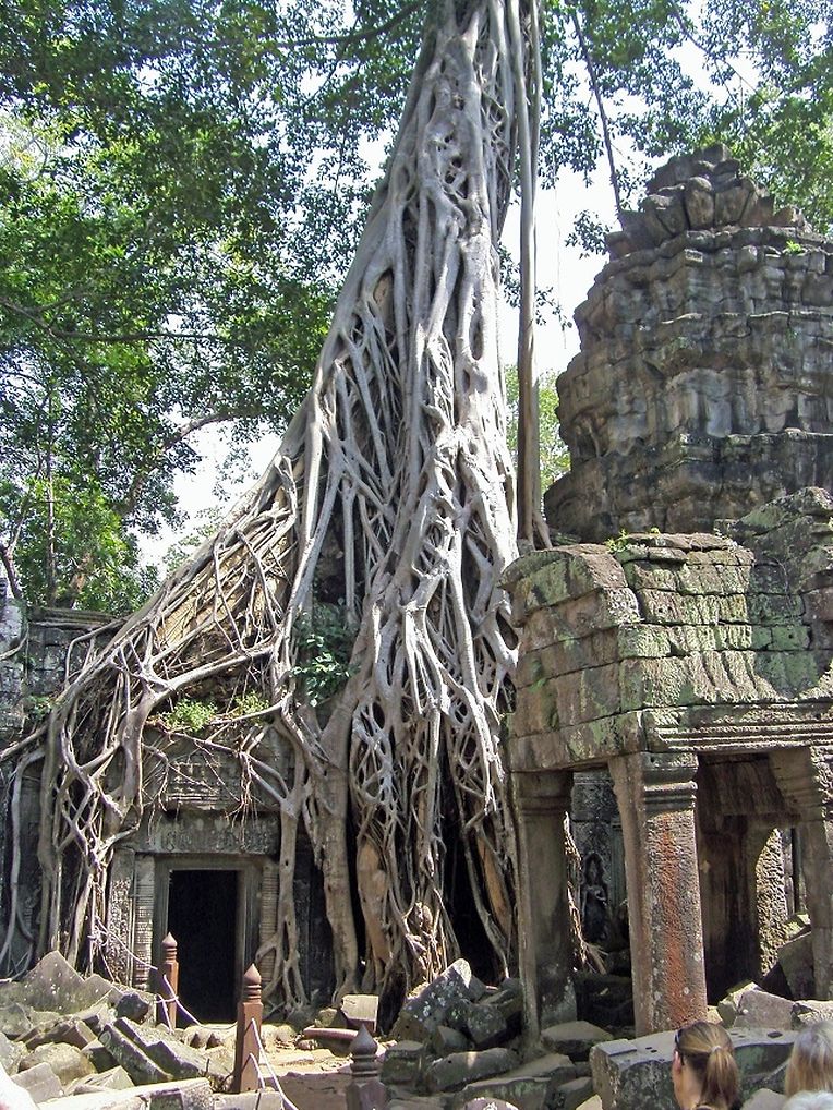 SAMSUNG DIGITAL CAMERA