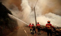Firefighters work to put out a forest fire in the village of Sandinha, near Gois, Portugal, June 20, 2017. REUTERS/Rafael Marchante