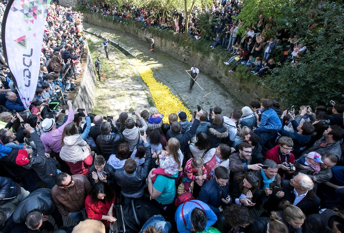 Luxembourg Duck Race 2017 Photo: Guy Jallay