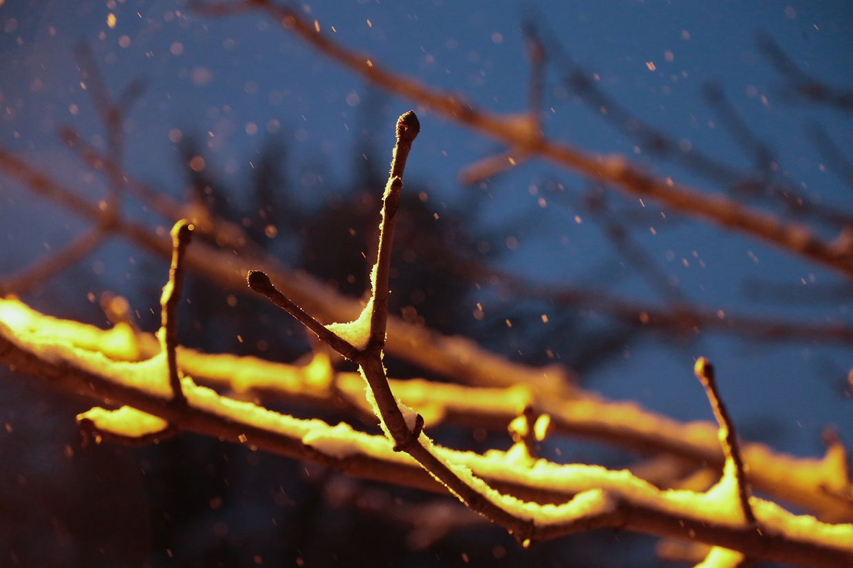 Lokales, Luxemburg, Winter, Schnee, Glätte, Glatteis, Kälte, Illustration, Schneefotos, musée,    photo Anouk Antony